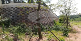 asiagame(中国区)官方网站