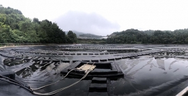 asiagame(中国区)官方网站